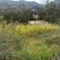  Land for sale in Azogues, Canar, San Miguel, Azogues