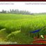  Land for sale in Selemadeg, Tabanan, Selemadeg