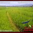  Land for sale in Selemadeg, Tabanan, Selemadeg