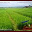  Land for sale in Selemadeg, Tabanan, Selemadeg