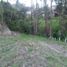  Land for sale in Llacao, Cuenca, Llacao