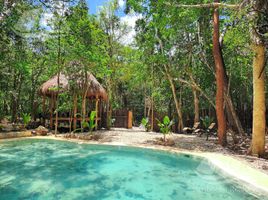 3 Schlafzimmer Wohnung zu verkaufen in Cozumel, Quintana Roo, Cozumel, Quintana Roo
