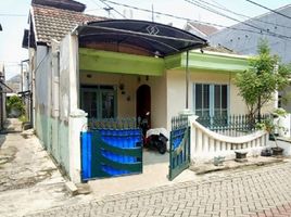 3 Schlafzimmer Haus zu verkaufen in Waru, East Jawa, Waru