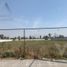  Land for sale in Paya, Darien, Paya, Pinogana