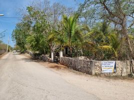  Land for sale in Merida, Yucatan, Merida, Yucatan