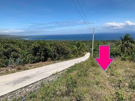  Land for sale in Alcoy, Cebu, Alcoy