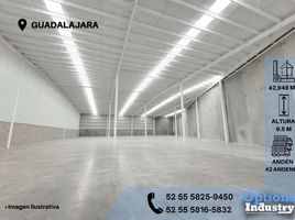 Estudio Casa en alquiler en Guadalajara, Jalisco, Guadalajara