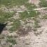  Land for sale in Cancun, Quintana Roo, Cancun, Quintana Roo