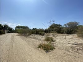  Terreno (Parcela) en venta en Piura, Piura, Piura, Piura