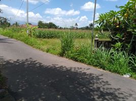  Terreno (Parcela) en venta en Sleman, Yogyakarta, Sleman, Sleman