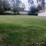  Land for sale in Tumbaco, Pichincha, Tumbaco