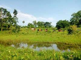 4 Bedroom Villa for sale in Guarani, Misiones, Guarani