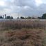  Land for sale in Atenco, Mexico, Atenco