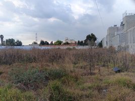  Land for sale in Atenco, Mexico, Atenco