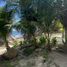 Terrain à vendre à Othon P Blanco, Quintana Roo, Othon P Blanco