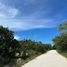 Terrain à vendre à Othon P Blanco, Quintana Roo, Othon P Blanco