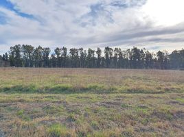  Land for sale in Santa Fe, Rosario, Santa Fe