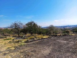  Land for sale in Tlayacapan, Morelos, Tlayacapan