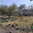  Land for sale in Tlayacapan, Morelos, Tlayacapan