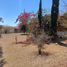2 Schlafzimmer Villa zu verkaufen in Ixtapan De La Sal, Mexico, Ixtapan De La Sal