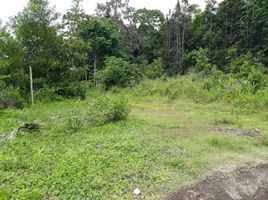  Terreno (Parcela) en venta en Ngaglik, Yogyakarta, Ngaglik