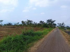  Tanah for sale in Malang Regency, East Jawa, Dau, Malang Regency