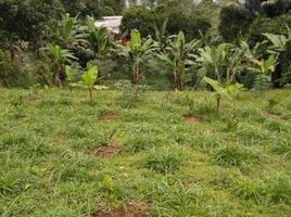  Tanah for sale in Lembang, Bandung, Lembang