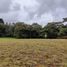  Land for sale in Envigado, Antioquia, Envigado