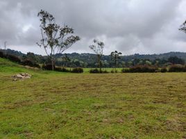  Terrain for sale in Envigado, Antioquia, Envigado