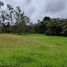  Land for sale in Envigado, Antioquia, Envigado