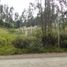  Land for sale in Solano, Deleg, Solano