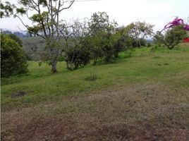  Terreno (Parcela) en venta en Guarne, Antioquia, Guarne