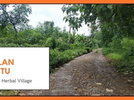  Land for sale in South Sulawesi, Bantimurung, Maros, South Sulawesi