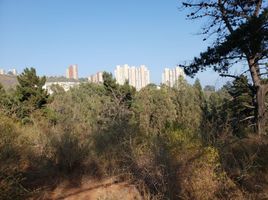  Terreno (Parcela) en venta en Chile, Viña del Mar, Valparaíso, Valparaíso, Chile