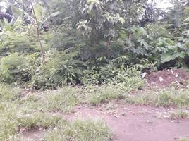  Land for sale in Depok, Sleman, Depok