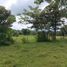  Land for sale in La Chorrera, Panama Oeste, Amador, La Chorrera