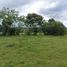  Land for sale in Amador, La Chorrera, Amador