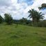  Land for sale in La Chorrera, Panama Oeste, Amador, La Chorrera