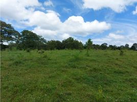  Terreno (Parcela) en venta en La Chorrera, Panamá Oeste, Amador, La Chorrera