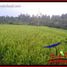  Land for sale in Selemadeg, Tabanan, Selemadeg