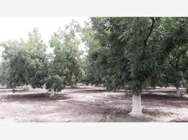  Grundstück zu verkaufen in Matamoros, Coahuila, Matamoros