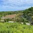  Terreno (Parcela) en venta en Compostela, Nayarit, Compostela
