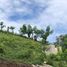  Terreno (Parcela) en venta en Compostela, Nayarit, Compostela