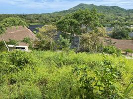  Terreno (Parcela) en venta en Compostela, Nayarit, Compostela