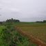  Land for sale in Sukabumi, West Jawa, Sukabumi, Sukabumi