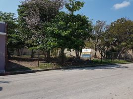  Grundstück zu verkaufen in Carmen, Campeche, Carmen