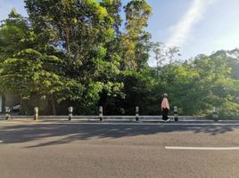  Tanah for sale in Yogyakarta, Gamping, Sleman, Yogyakarta