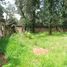  Land for sale in Huitzilac, Morelos, Huitzilac