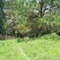  Land for sale in Huitzilac, Morelos, Huitzilac