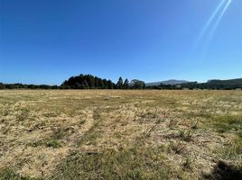  Land for sale in Los Rios, Mariquina, Valdivia, Los Rios